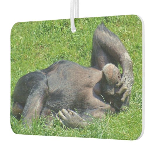 Funny Chimpanzee Foto Autolufterfrischer (Links)