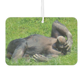 Funny Chimpanzee Foto Autolufterfrischer