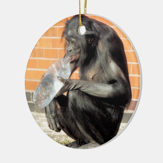 FUNNY CHIMPANZEE KERAMIK ORNAMENT (Links)