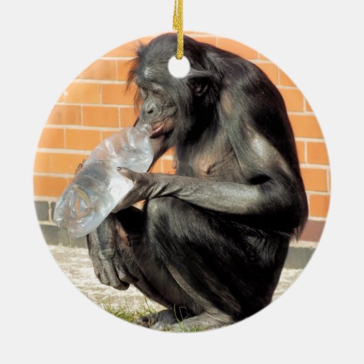 FUNNY CHIMPANZEE KERAMIK ORNAMENT (Hinten)