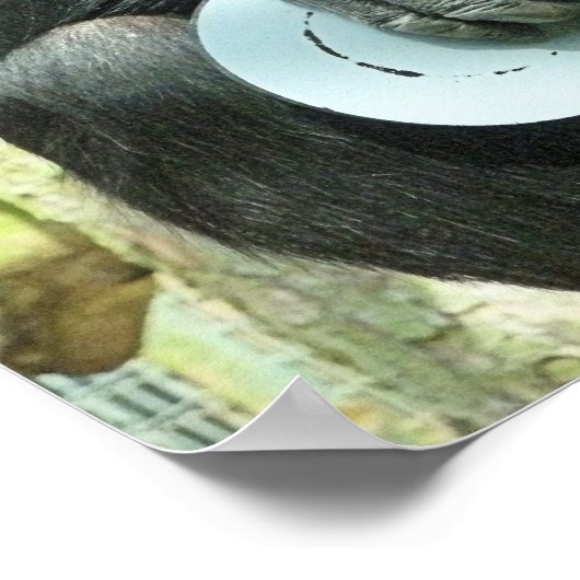 FUNNY CHIMPANZEE POSTER (Ecke)