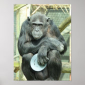 FUNNY CHIMPANZEE POSTER (Vorne)