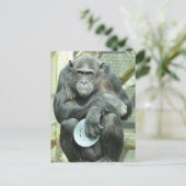 FUNNY CHIMPANZEE POSTKARTE (Stehend Vorderseite)