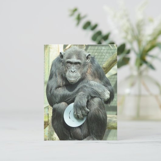 FUNNY CHIMPANZEE POSTKARTE (Stehend Vorderseite)