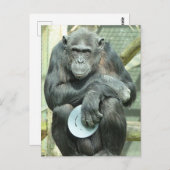 FUNNY CHIMPANZEE POSTKARTE (Vorne/Hinten)