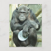 FUNNY CHIMPANZEE POSTKARTE (Vorderseite)