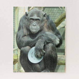FUNNY CHIMPANZEE PUZZLE