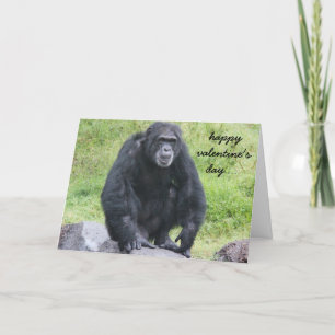 Funny Chimpanzee Valentine, wollen Affen um?! Feiertagskarte