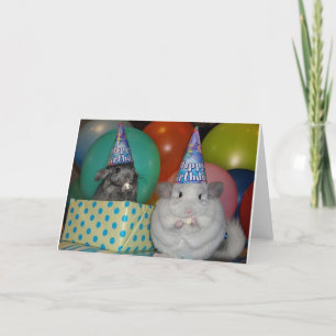 Funny Chinchilla Birthday Card Karte