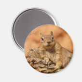 Funny chipmunk liegt auf einem Felsen Magnet (Vorderseite/Rückseite)