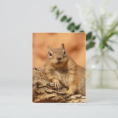 Funny chipmunk liegt auf einem Felsen Postkarte (Stehend Vorderseite)