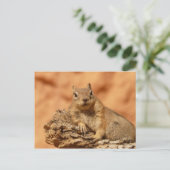 Funny chipmunk liegt auf einem Felsen Postkarte (Stehend Vorderseite)