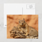 Funny chipmunk liegt auf einem Felsen Postkarte (Vorne/Hinten)