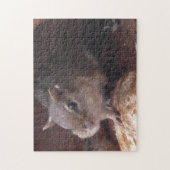 Funny Chipmunk mit Food in Cheeks niedlicher Tiere Puzzle (Vertikal)
