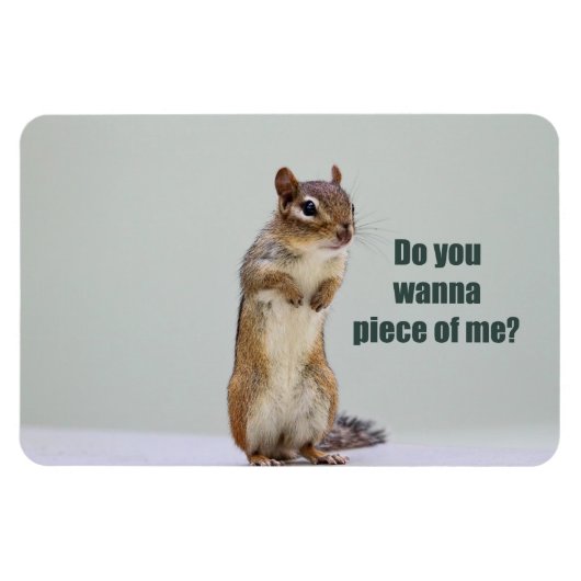 Funny Chipmunk Picture Magnet (Horizontal)
