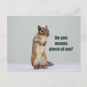 Funny Chipmunk Picture Postkarte (Vorderseite)
