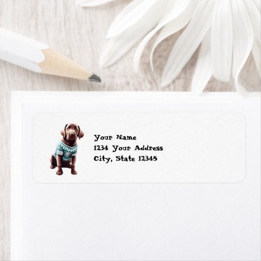 Funny Chocolate Labrador in Christmas Sweater Ansc (Insitu)