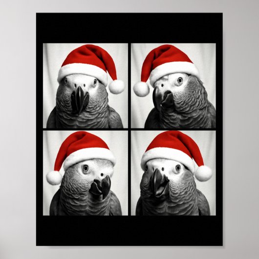 Funny Christmas African G Parrot Santa Photo Booth Poster (Vorne)