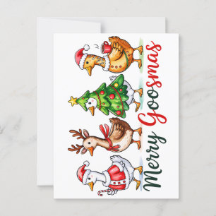 Funny Christmas Albern Gänse Postkarte