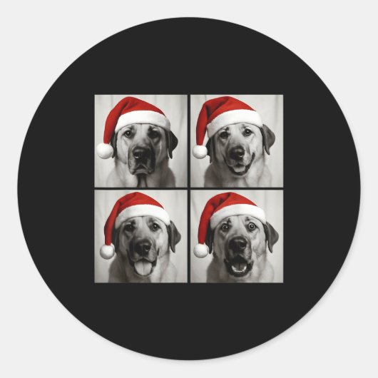 Funny Christmas Anatolian Shepherd Santa Dog Photo Runder Aufkleber (Vorderseite)