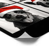 Funny Christmas Australian Cattle Dog Santa Photo Poster (Ecke)