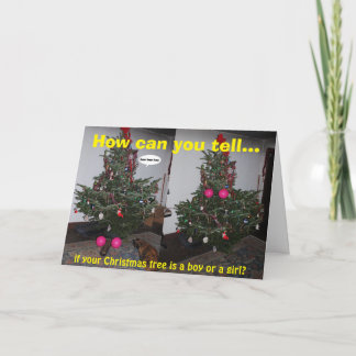 Funny Christmas Card Karte