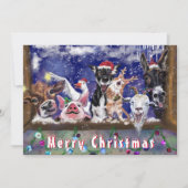 Funny Christmas Card mit Happy Farm Animal Party (Vorderseite)