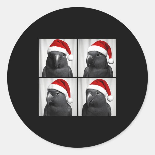 Funny Christmas Eclectus Parrot Santa Photo Booth Runder Aufkleber (Vorderseite)