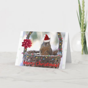 Funny Christmas Eichhörnchen Feiertagskarte