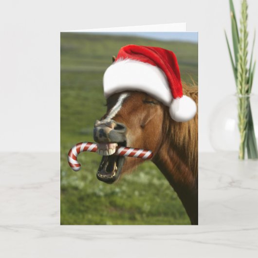 Funny Christmas horse with Santa hat smiling Karte (Vorderseite)