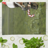Funny Christmas horse with Santa Smiling Geschirrtuch (Gefaltet)