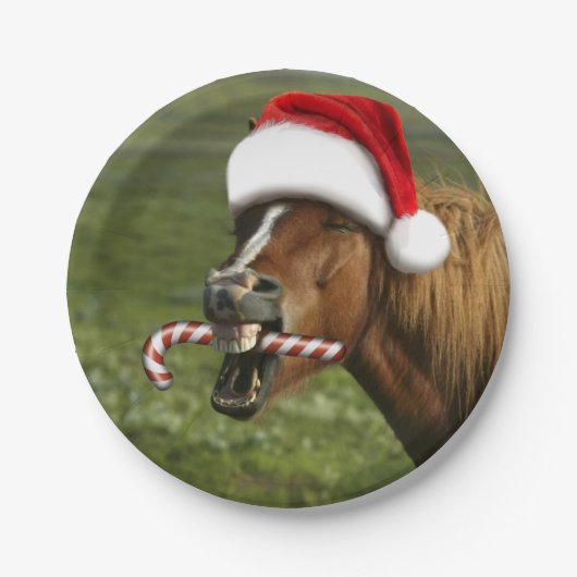 Funny Christmas horse with Santa Smiling Pappteller (Vorderseite)