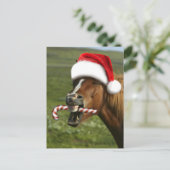 Funny Christmas horse with Santa Smiling Postkarte (Stehend Vorderseite)