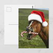 Funny Christmas horse with Santa Smiling Postkarte (Vorne/Hinten)