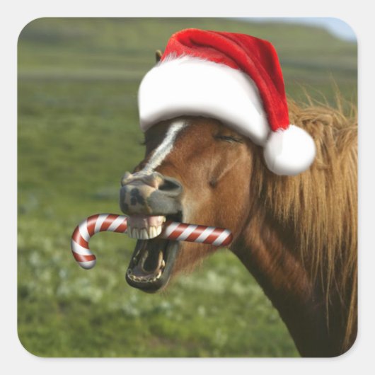 Funny Christmas horse with Santa Smiling Quadratischer Aufkleber (Vorderseite)