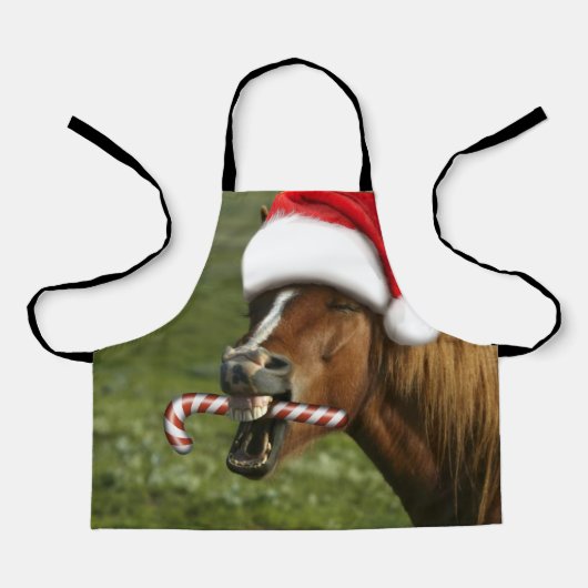 Funny Christmas horse with Santa Smiling Schürze (Vorderseite)