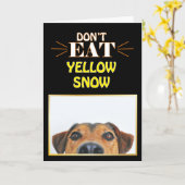 Funny Christmas Hund essen nicht Yellow Snow Gag J Karte (Gelbe Blume)