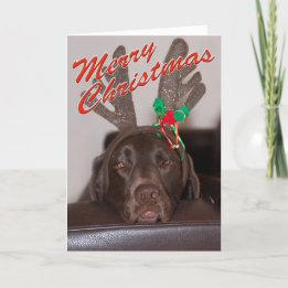 Funny Christmas Labrador mit Glitzer Antler Feiertagskarte