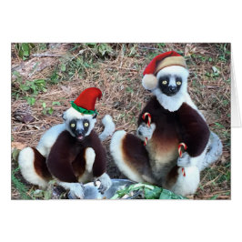 Funny Christmas Lemurs Grußkarte