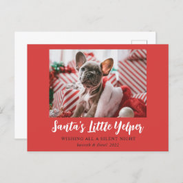 Funny Christmas Niedlich Pet Foto Red White Feiertagspostkarte