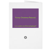 Funny Christmas Peacock (Hinten)