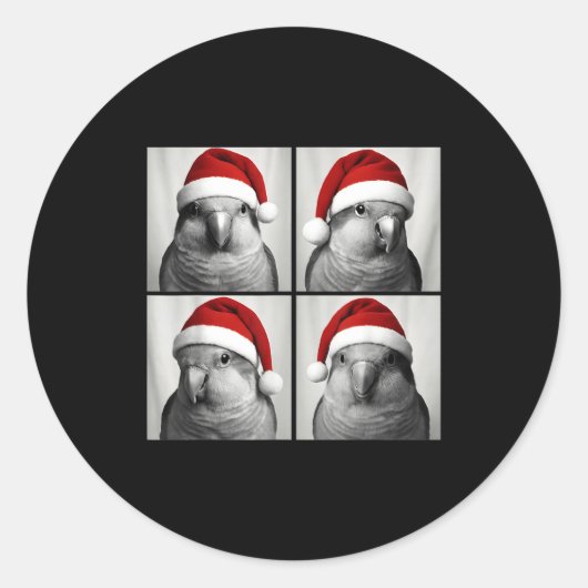 Funny Christmas Quaker Parrot Santa Photo Booth Runder Aufkleber (Vorderseite)