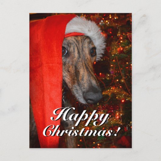 Funny Christmas Santa Greyhound Lurcher Feiertagspostkarte (Vorderseite)