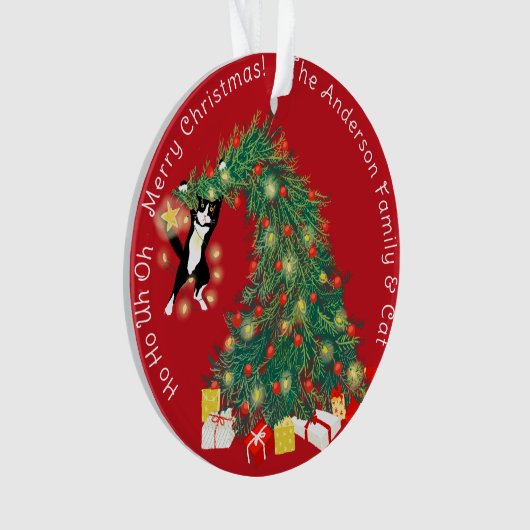 Funny Christmas Tree Cat Custom 2 Szene Ornament (Vorderseite)