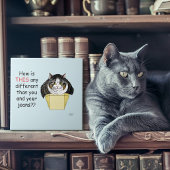 Funny Chubby Tabby Cat Box Fliese