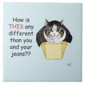 Funny Chubby Tabby Cat Box Fliese (Vorderseite)