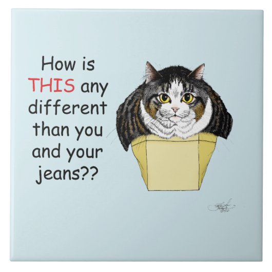 Funny Chubby Tabby Cat Box Fliese (Vorderseite)