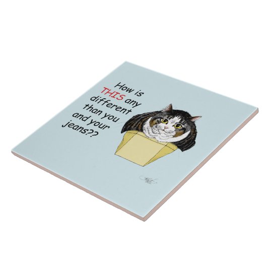 Funny Chubby Tabby Cat Box Fliese (Seite)