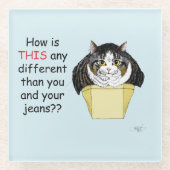 Funny Chubby Tabby Cat Box Glasuntersetzer (Vorderseite)