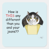 Funny Chubby Tabby Cat Box Quadratischer Aufkleber (Vorderseite)